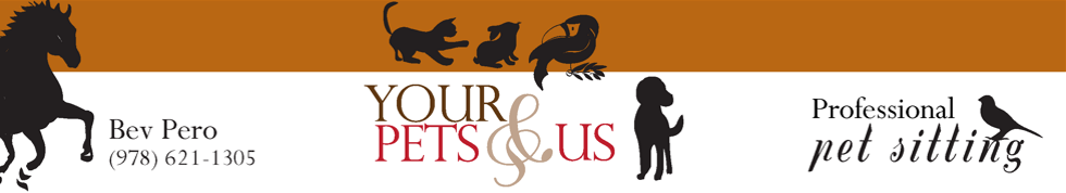 Your Pets and Us Logo